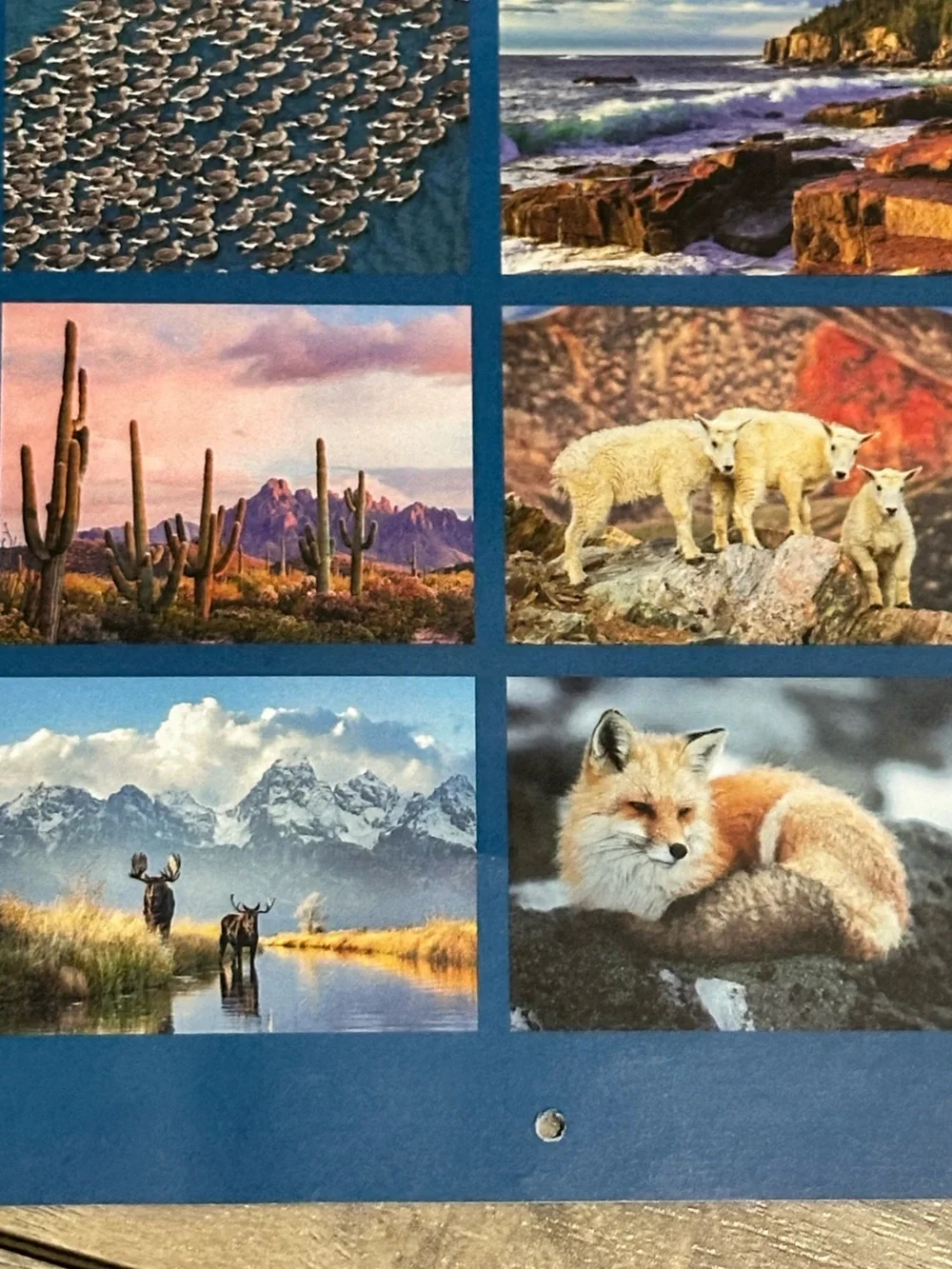 NWT 2026/2027 Wilderness Society 16 Month Calendar